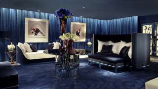 Lacivert Salon Grubu