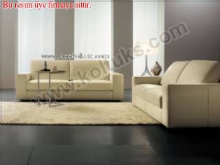 Modern Koltuk Takımı